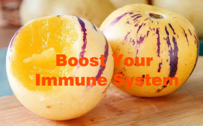 How Pepino Melon Can Help Boost Your Immune System